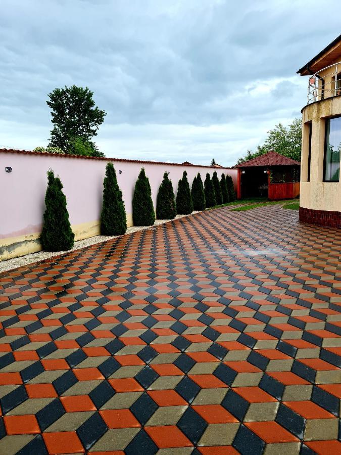 Vila Nicholas Bărcăneşti Extérieur photo